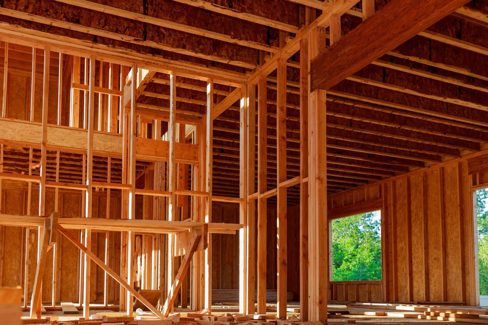 The timber frame of a house under construction, seen from inside